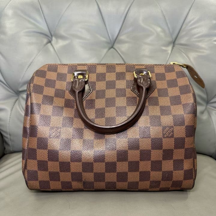Louis Vuitton Speedy 25 — photo 1