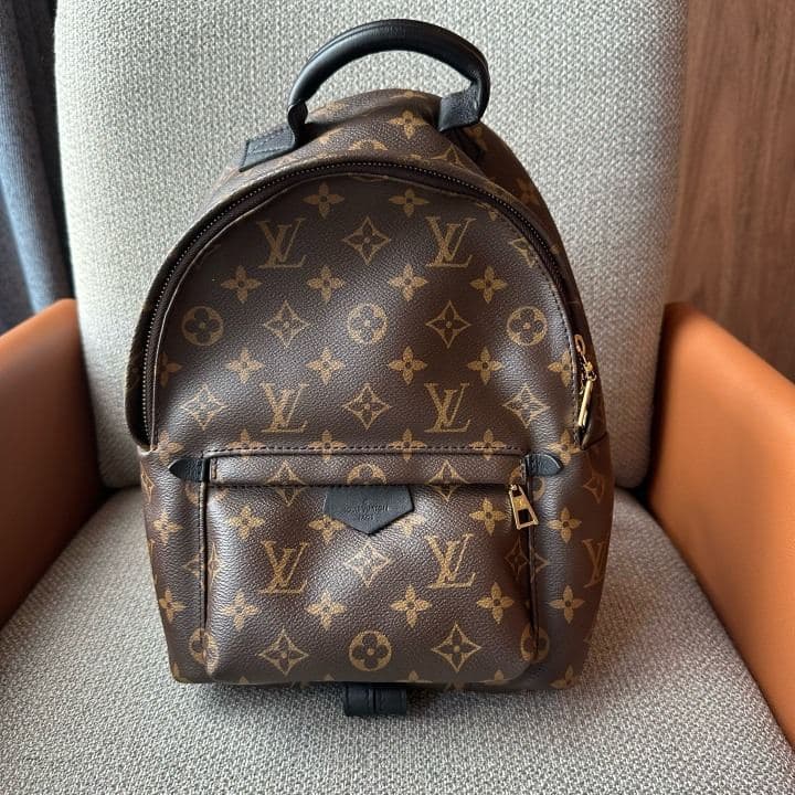 Louis Vuitton Palm Springs Backpack MM — photo 1